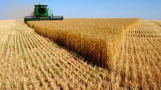 روسيا تتفوق على الولايات المتحدة الأمريكية في تصدير القمح