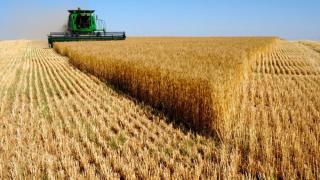 روسيا تتفوق على الولايات المتحدة الأمريكية في تصدير القمح