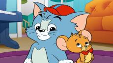 تردد قناة توم و جيري على النايل سات 