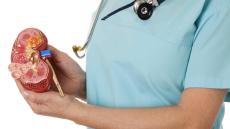 حصوات الكلى, ما هي؟ وكيف نتعامل مع المغص الكلوي؟